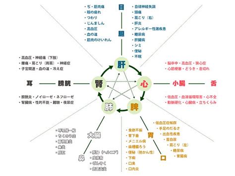 橙五行